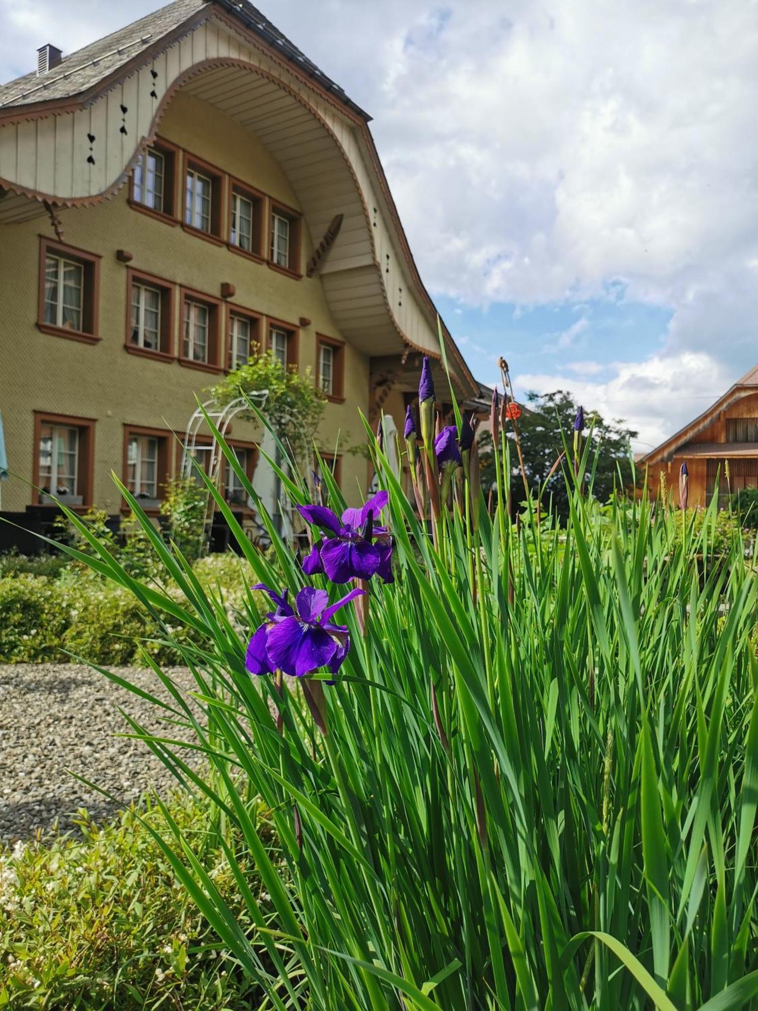 Gasthof Kreuz Marbach Exterior photo